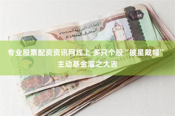 专业股票配资资讯网线上 多只个股“披星戴帽” 主动基金溜之大吉