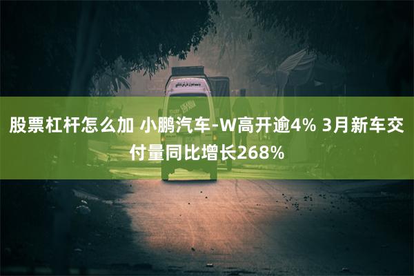 股票杠杆怎么加 小鹏汽车-W高开逾4% 3月新车交付量同比增长268%