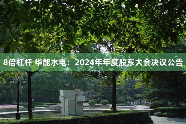 8倍杠杆 华能水电：2024年年度股东大会决议公告