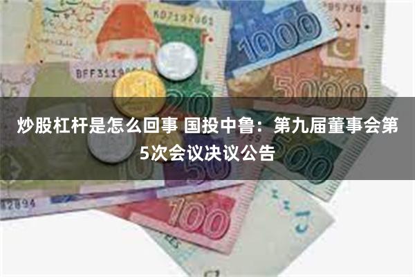 炒股杠杆是怎么回事 国投中鲁：第九届董事会第5次会议决议公告