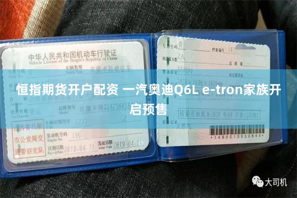 恒指期货开户配资 一汽奥迪Q6L e-tron家族开启预售