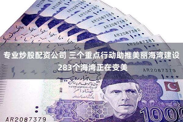 专业炒股配资公司 三个重点行动助推美丽海湾建设 283个海湾正在变美