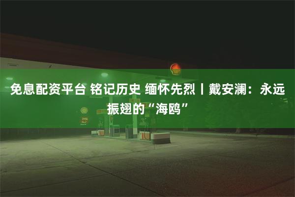 免息配资平台 铭记历史 缅怀先烈丨戴安澜：永远振翅的“海鸥”